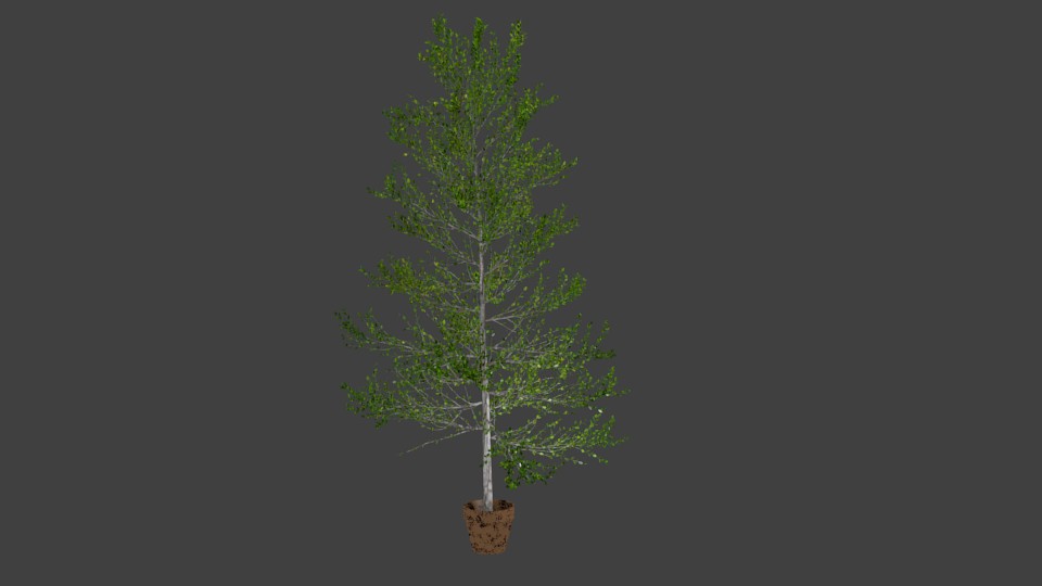 A Tree preview image 1